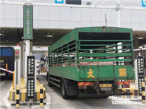 绿色通道助力通关 莲塘口岸保障供港鲜活产品高效转运至普通货船